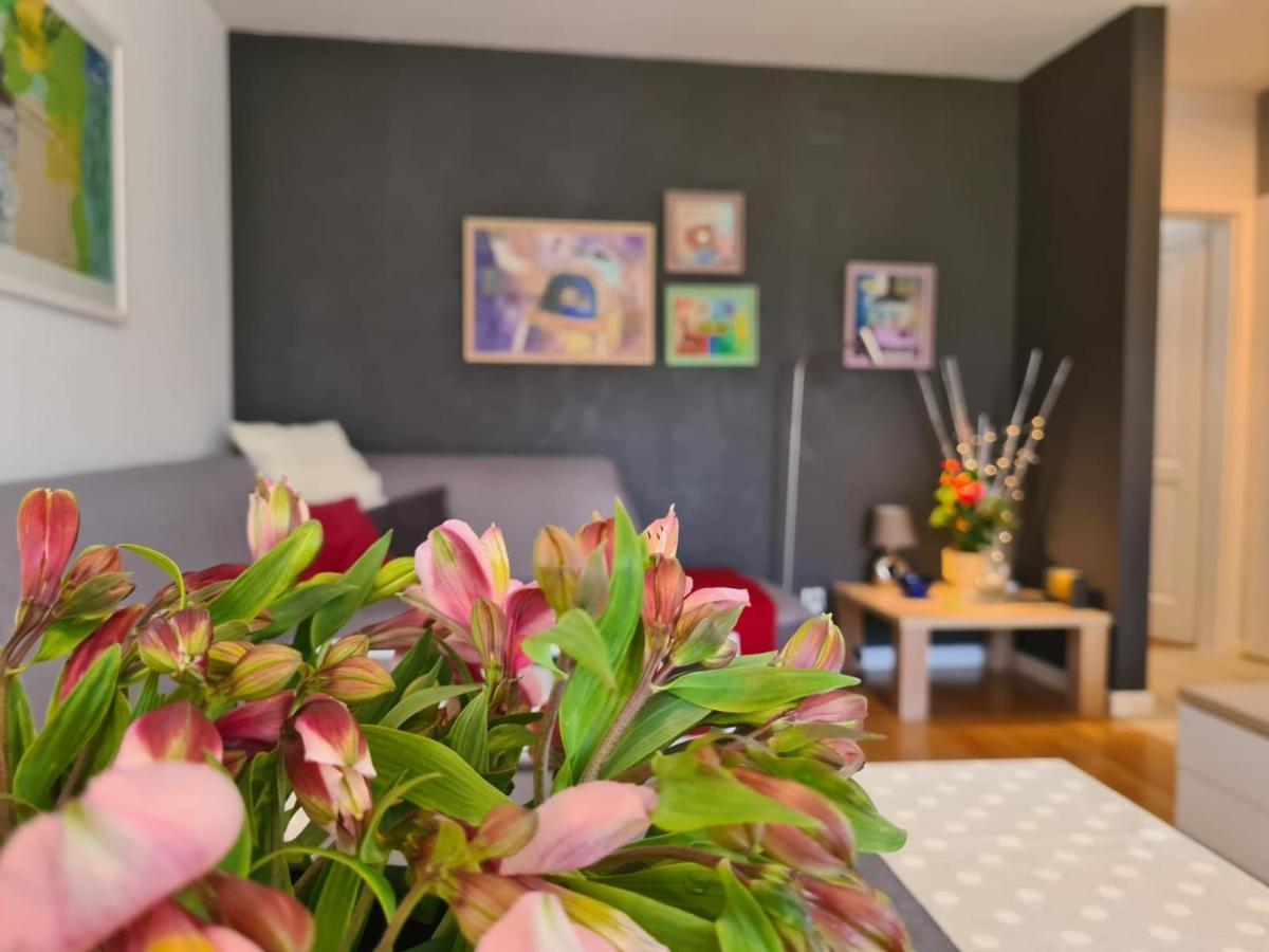 Apartment Vedrana روفينج المظهر الخارجي الصورة
