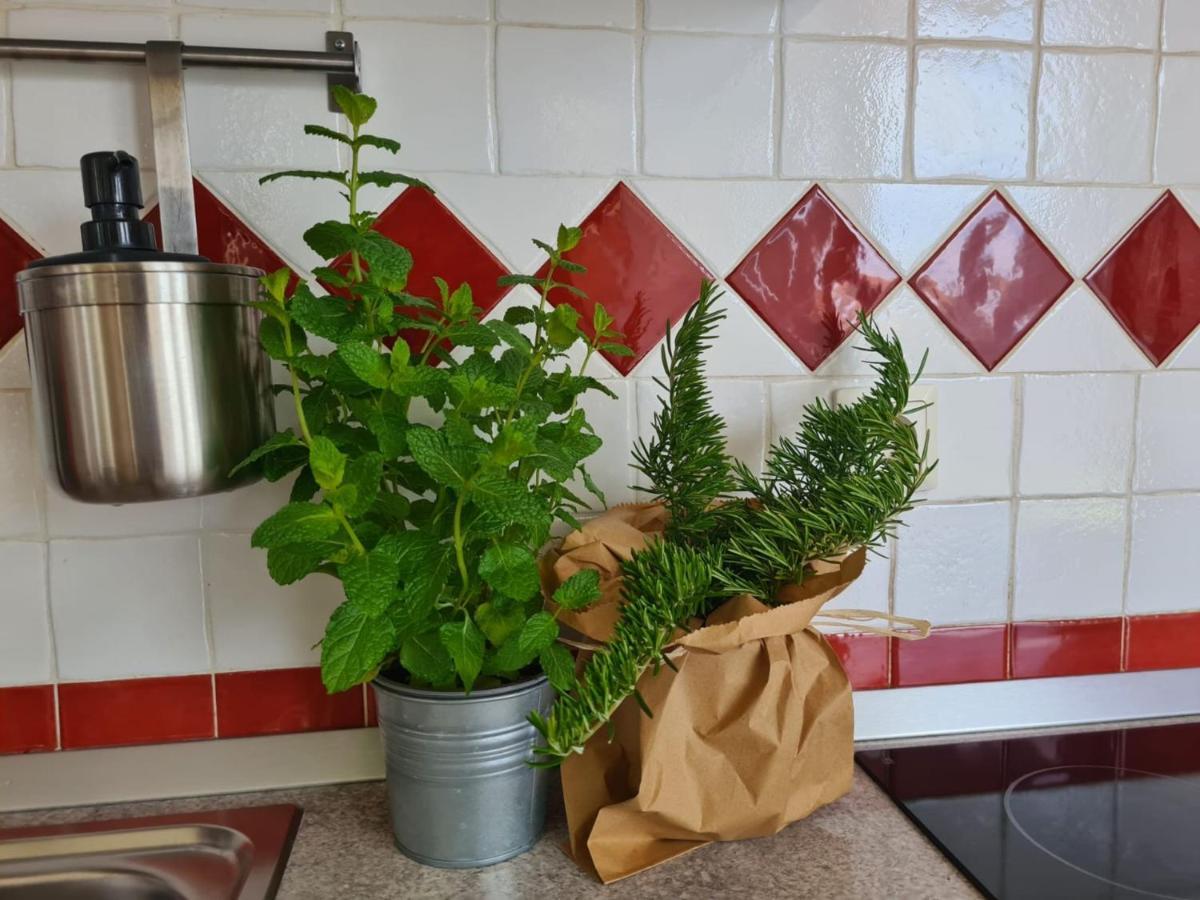 Apartment Vedrana روفينج المظهر الخارجي الصورة